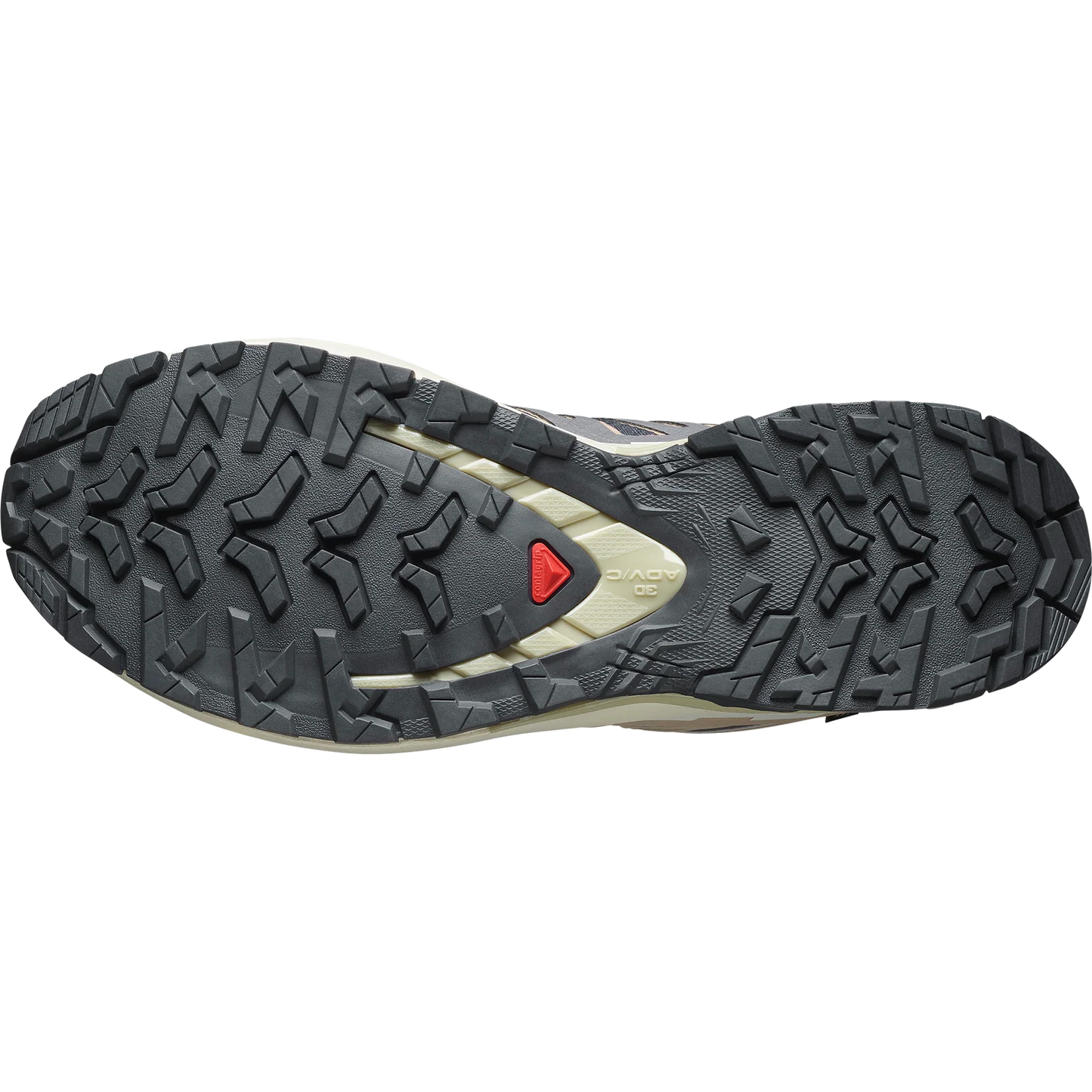 Salomon XA Pro 3D v9 GTX Nine Iron / Oxford Tan Womens