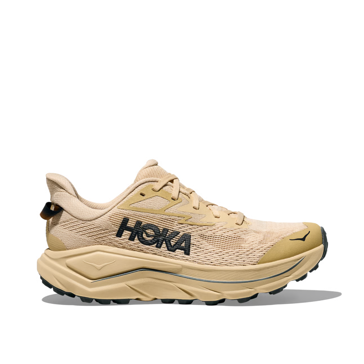 Hoka Challenger ATR 8 Barley Flour Womens
