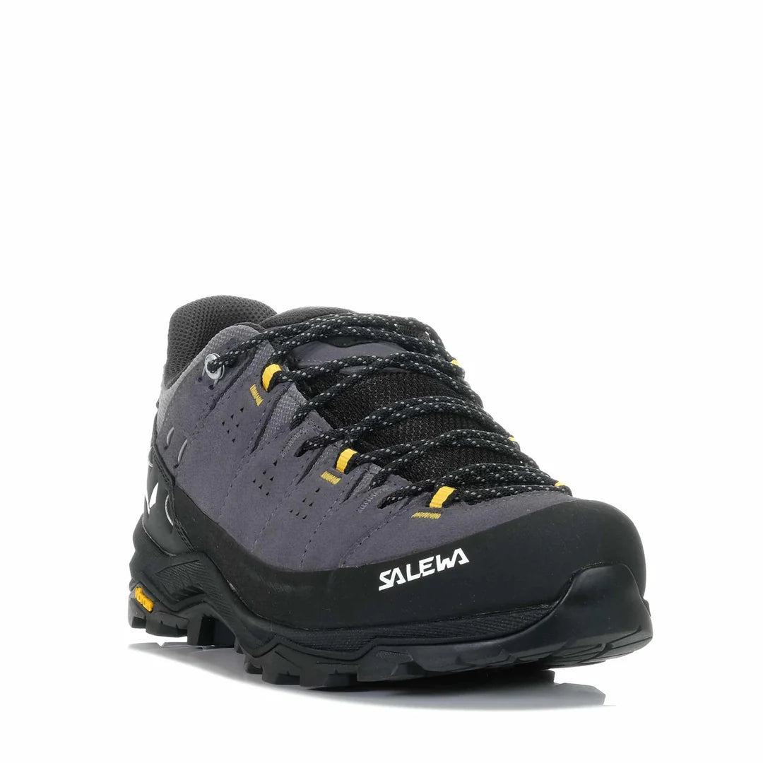 Salewa Alp Trainer 2 GTX Mens