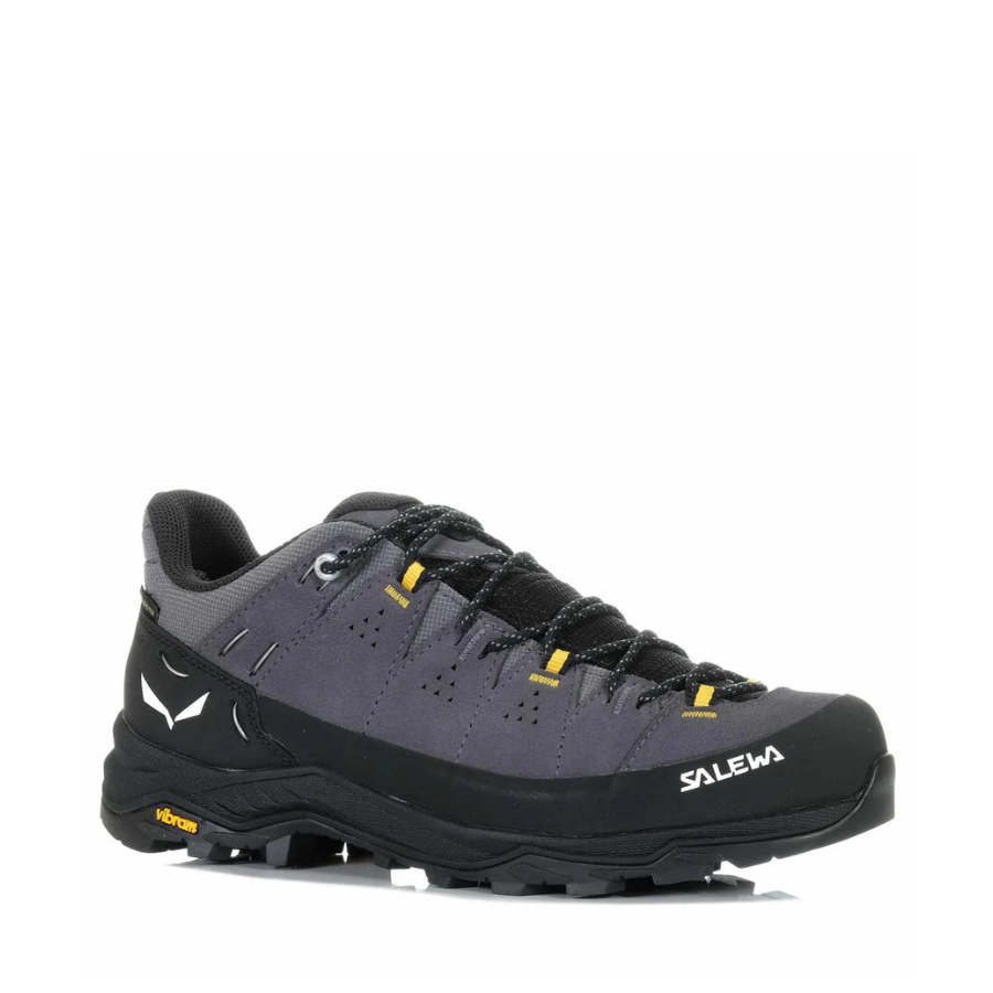 Salewa Alp Trainer 2 GTX Mens
