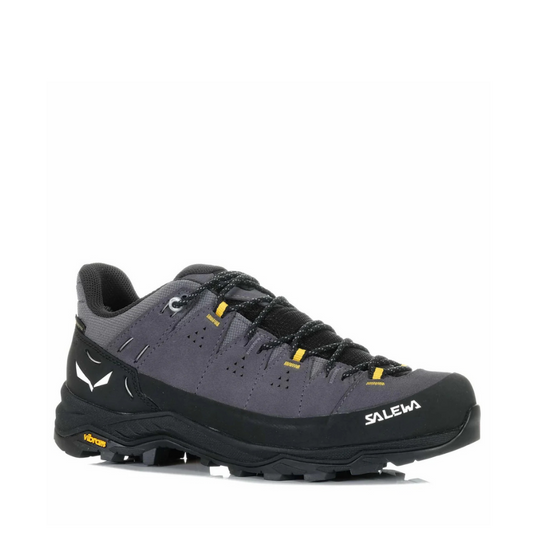 Salewa Alp Trainer 2 GTX Mens