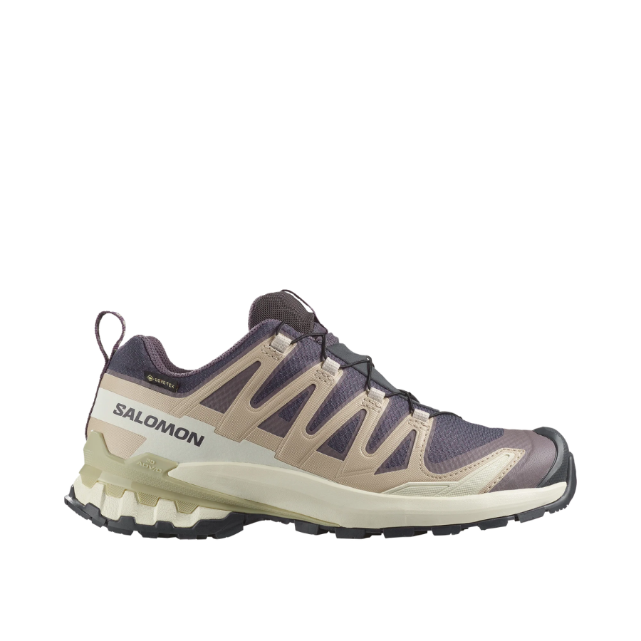 Salomon XA Pro 3D v9 GTX Nine Iron / Oxford Tan Womens