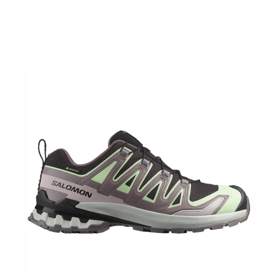 Salomon XA Pro 3D v9 GTX Patina Green Womens