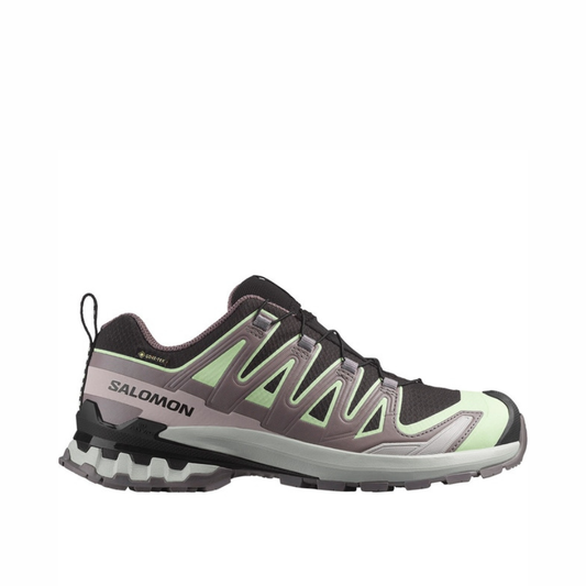 Salomon XA Pro 3D v9 GTX Patina Green Womens