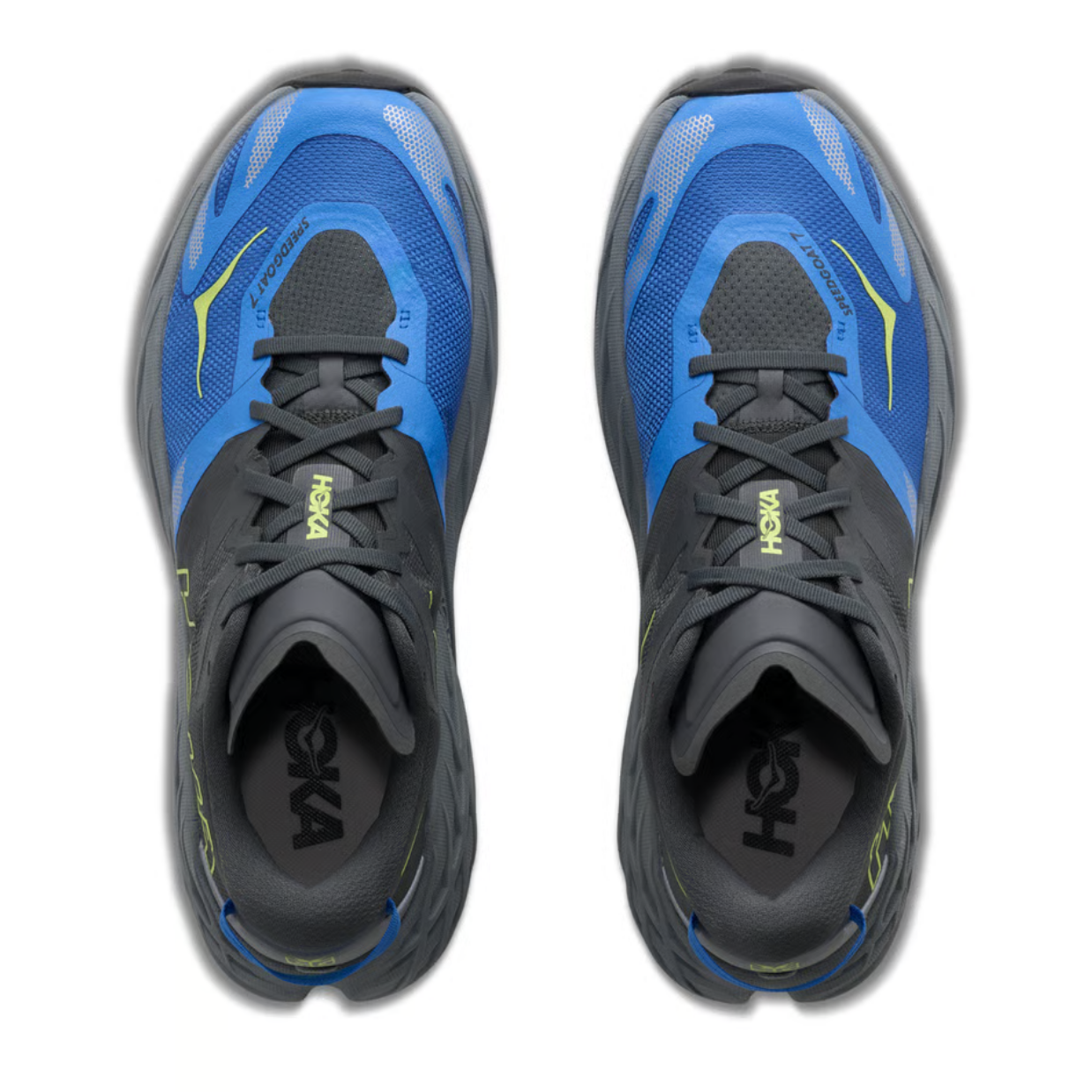 Hoka Speedgoat 7 Wide Outer Orbit/Virtual Blue (2E) Mens