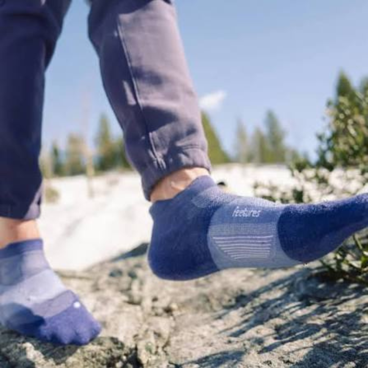 Feetures Merino 10 Max Cushion Tab Socks - Aster Bloom